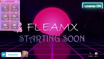 fleamx 2024-10-30 10:56:07