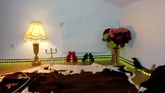 viciousqueen 2024-10-29 18:11:28