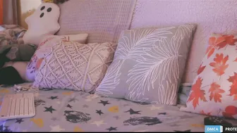 softlee 10-31-2025 cam video
