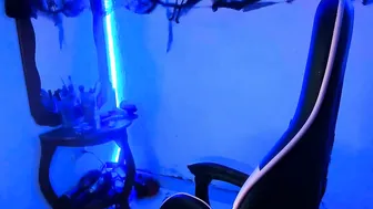 daliaapril22 recorded nude video 305342
