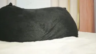 hornyjoy_ hot webcam video video cam porn