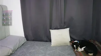 dannielle_ recorded nude video 32801