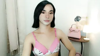 18_nicole shorthair 07-Nov-2025