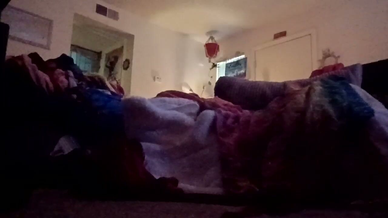 ameliajoshphine 08-Nov-2025
