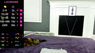Tinyvixxen webcam show 09 November 2025