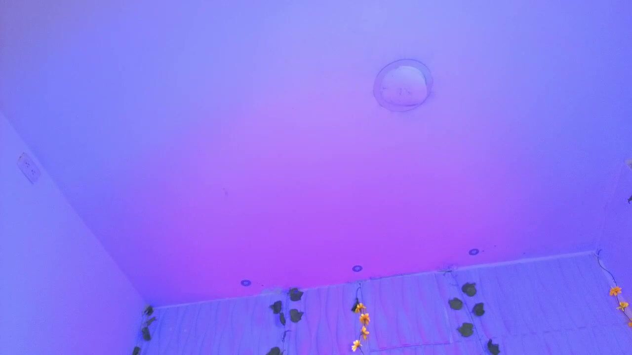 artemisa_leon porn video chat - (11/07/2025)