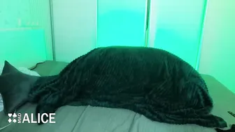 madalicexxx recorded nude video 328041
