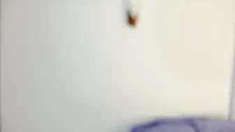 blazing_haze hairy - 11-11-2025