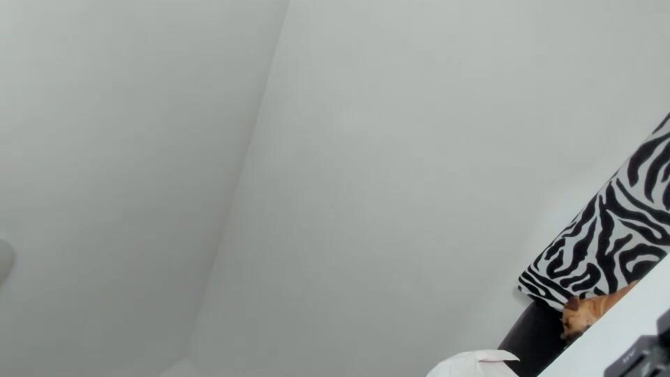 daisywalker cam sex porn porn sex chat