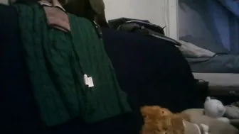 Shyhotnerd chat porn video 05/19/2025