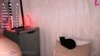 lovexxxdanna live cam show 13-Nov-25