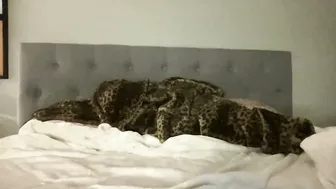 camilaxcruz porn cam chat 13 November 2025