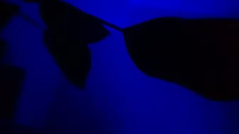 Karla_gonzaless 14-Nov-25 cam sex porn