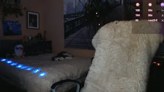 moon_sugar_ on webcam (11-14-2025)