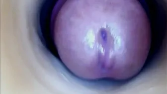 Paulainoscente cam video (11/15/2025)