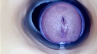 paulainoscente new cam porn