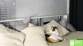 Liebevol show xxx chat