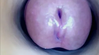 paulainoscente chat porn 16-Nov-25