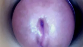 paulainoscente chat porn 16-Nov-25
