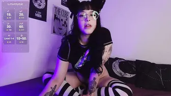 Midnightkitten_ 21 November 2025 shy