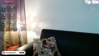 Meridastonex lovense - 21-Nov-2025