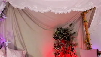 bonniecute_ porn cam 22-Nov-2025