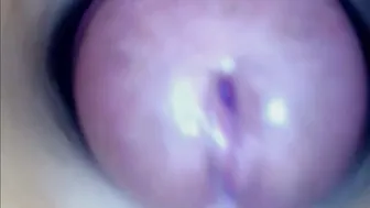 paulainoscente (11/21/2025) cum