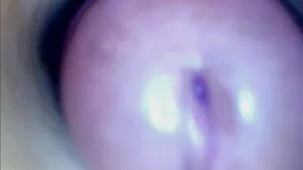 paulainoscente (11/21/2025) cum