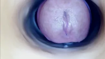 paulainoscente (11/21/2025) cum
