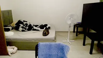 kitten_jenny01 recorded nude video 366428