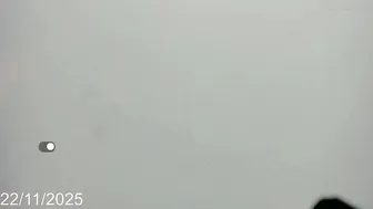 Dahian_fox7 cum 22 November 2025