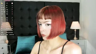dolyconor shorthair live on cam