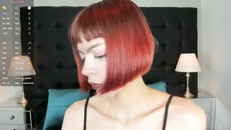 dolyconor shorthair live on cam