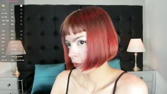 dolyconor shorthair live on cam