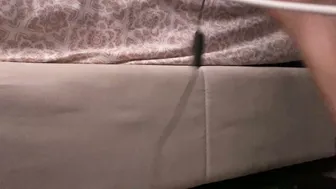 Lia_hdz porn video - (11/24/2025)