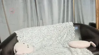 shydreamss recorded nude video 386427