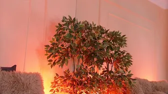 Crystallred 28-Nov-2025
