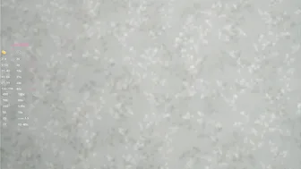 Sara_whooops sex cam chat webcam