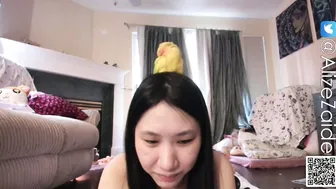 Alizezaide asian - 29-Nov-25