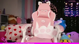 bellabearts (11-29-2025)