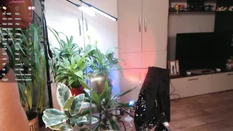 Sheilaryan (05/27/2025)