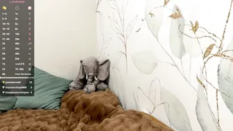 Kareentrueax premium porn (11/29/2025)