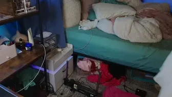 cuteypi 2024-10-28 17:23:40