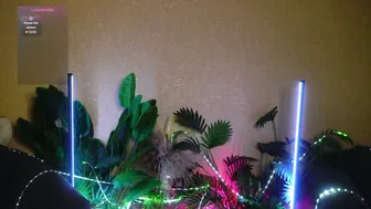 anita_von 12-01-2025