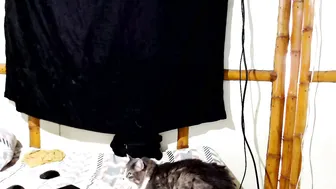 miahells 01-Dec-25
