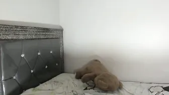 skyqueen0 webcam video 03 December 2025