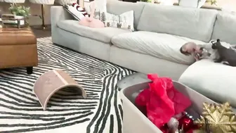 Graciemae_baexx (12/04/2025)