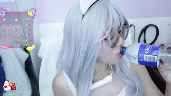 Cat_white on cam (12/04/2025)