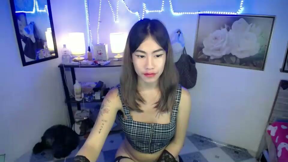 wildflowermitch (12/06/2025) asian