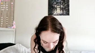 stellafalt